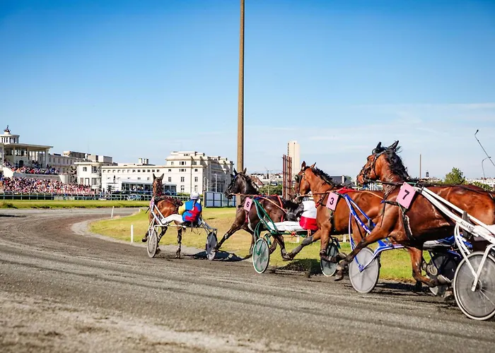 Semesterbostad Queen - Luxe & House - 4, 3 Or 2 Bedrooms *